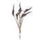 Melrose Seeded Harvest Bush (Set of 12)