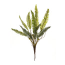 Melrose Varigated Fern Foliage Bush (Set of 6)