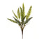 Melrose Varigated Fern Foliage Bush (Set of 6)