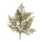 Melrose Cedar Spray (Set of 6)