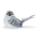 Melrose Feathered Bird Shelf Sitter (Set of 12)
