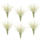 Melrose Foxtail Bundle (Set of 6)