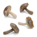 Melrose Stone Mushroom Shelf Sitter (Set of 12) Multicolor Decor