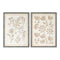 Melrose Framed Floral Wall Art Under Glass, Modern, Wood, Plastic