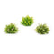 Melrose Varigated Mini Leaf Half Orb (Set of 6)