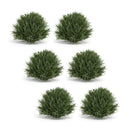 Melrose Spring Grass Half Orb (Set of 6)