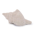 Melrose Sea Shell Filler Decor (Set of 12)