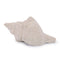 Melrose Sea Shell Filler Decor (Set of 12)