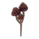 Melrose Succulent Plant Pick (Set of 6)