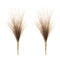 Melrose Grass Plume Bundle (Set of 2)