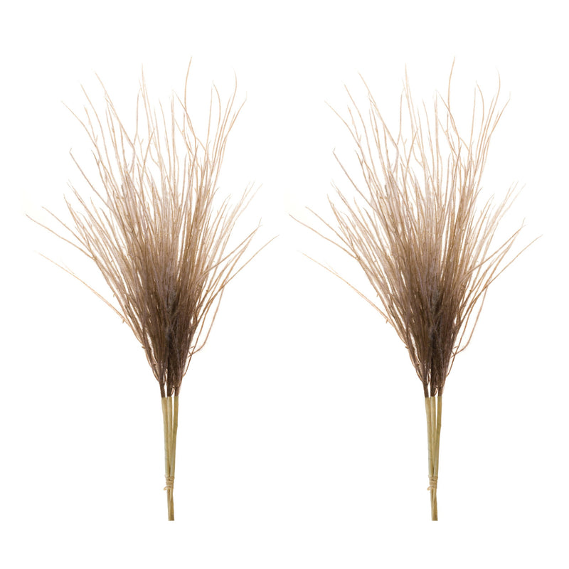 Melrose Grass Plume Bundle (Set of 2)