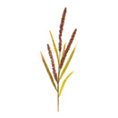 Melrose Seeded Plume Spray (Set of 12)
