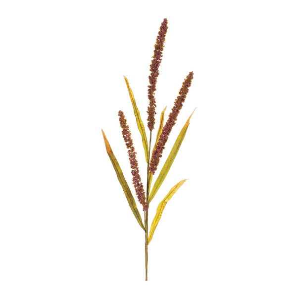 Melrose Seeded Plume Spray (Set of 12)