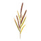 Melrose Seeded Plume Spray (Set of 12)