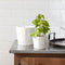 Melrose Porcelain Face Planter Set of 2 Planter, Face, Porcelain