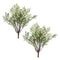 Melrose Fern Bush (Set of 2)
