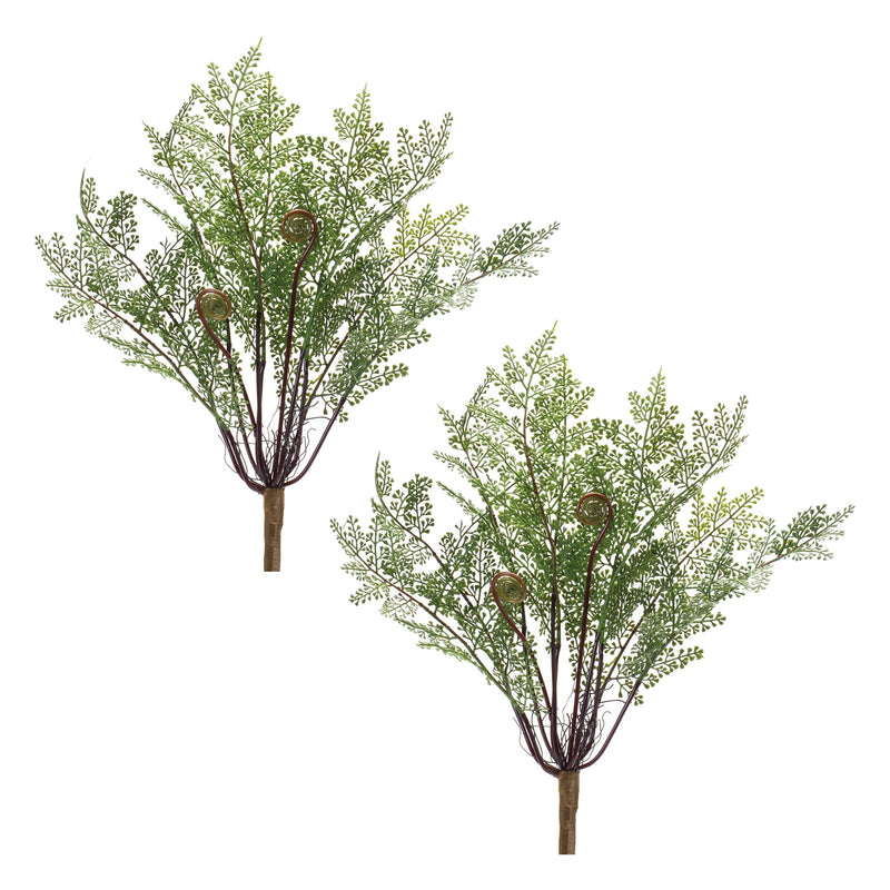 Melrose Fern Bush (Set of 2)