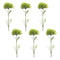 Melrose Puff Flower Stem (Set of 6)