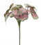 Melrose Varigated Begonia Leaf Bush (Set of 2)