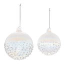 Melrose Iridescent Glass Ball Ornament (Set of 12)