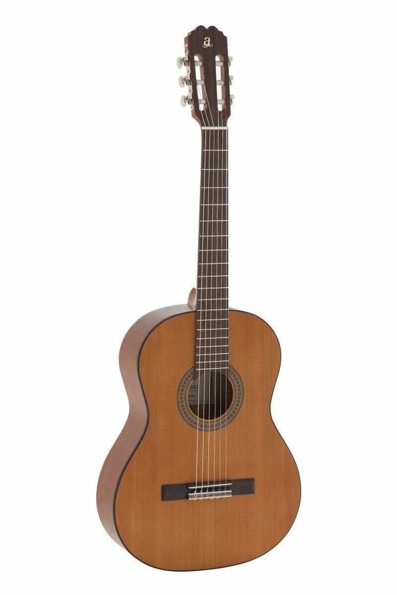 Admira Paloma Classical Acoustic Guitar w/ Satin Oregon Pine Top - New Open Box