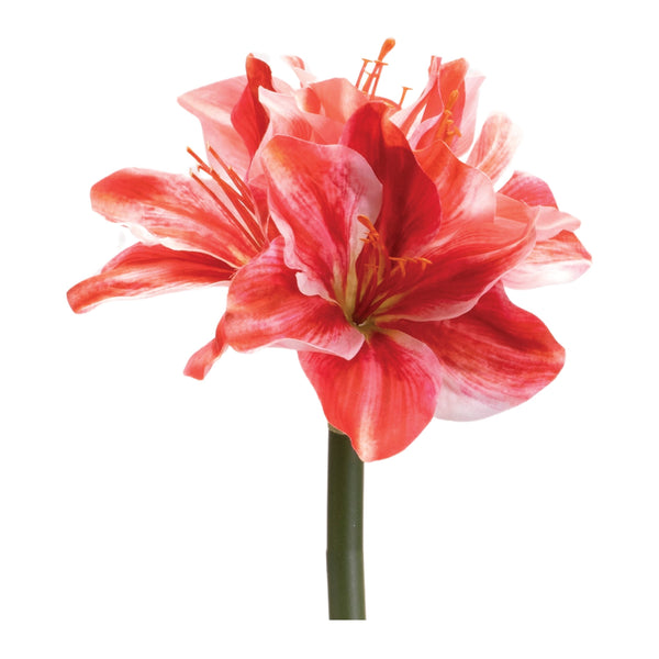 Melrose Amaryllis Flower Stem (Set of 6)