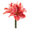 Melrose Amaryllis Flower Stem (Set of 6)