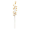 Melrose Golden Patrina Spray (Set of 12)