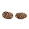 Melrose Pine Cone Decor (Set of 12)