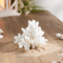 Melrose Set of 4 White Resin Coral Decorative Sculptures