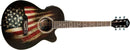 Oscar Schmidt Acoustic Electric Guitar - USA Flag - OG10CEFLAG - New Open Box