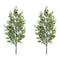 Melrose Pine Spray (Set of 2)