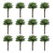 Melrose Succulent Plant Pick (Set of 12)