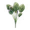 Melrose Prayer Plant Foliage Bush (Set of 6)