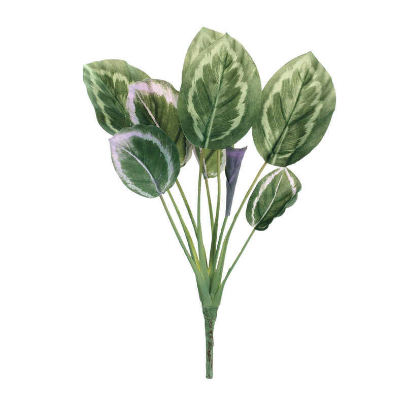 Melrose Prayer Plant Foliage Bush (Set of 6)