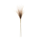 Melrose Grass Plume Bundle (Set of 2)
