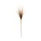Melrose Grass Plume Bundle (Set of 2)