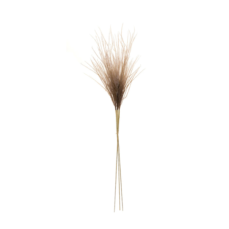 Melrose Grass Plume Bundle (Set of 2)