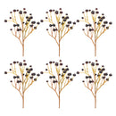 Melrose Blue Berry Spray (Set of 6)