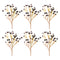 Melrose Blue Berry Spray (Set of 6)