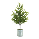 Melrose Potted Mini Pine Tree (Set of 2)