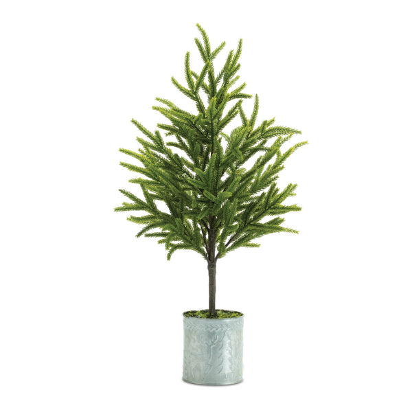 Melrose Potted Mini Pine Tree (Set of 2)