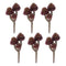 Melrose Succulent Plant Pick (Set of 6)
