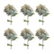 Melrose Glittered Poinsettia Flower Stem (Set of 6)