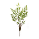 Melrose Varigated Fern Bundle with Sprout Accents (Set of 6)