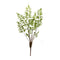 Melrose Varigated Fern Bundle with Sprout Accents (Set of 6)
