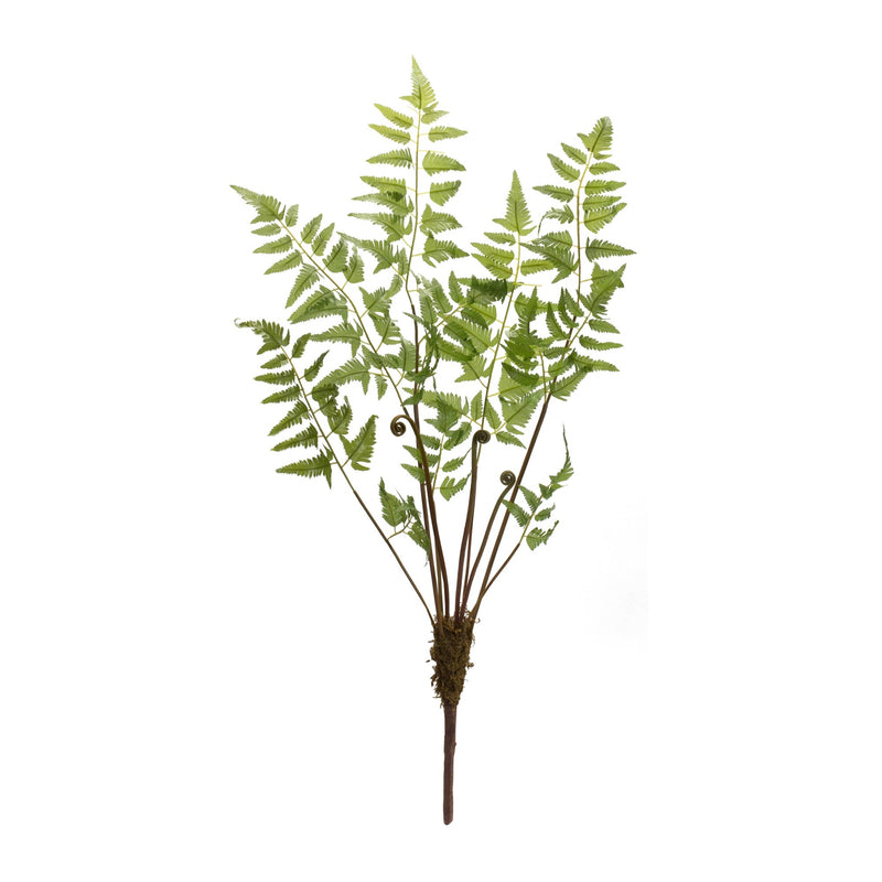 Melrose Varigated Fern Bundle with Sprout Accents (Set of 6)
