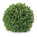Melrose Boxwood Foliage Orb (Set of 2)