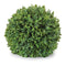 Melrose Boxwood Foliage Orb (Set of 2)