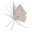 Melrose Flower Petal Butterfly Shelf Sitter (Set of 2) Beige Decor